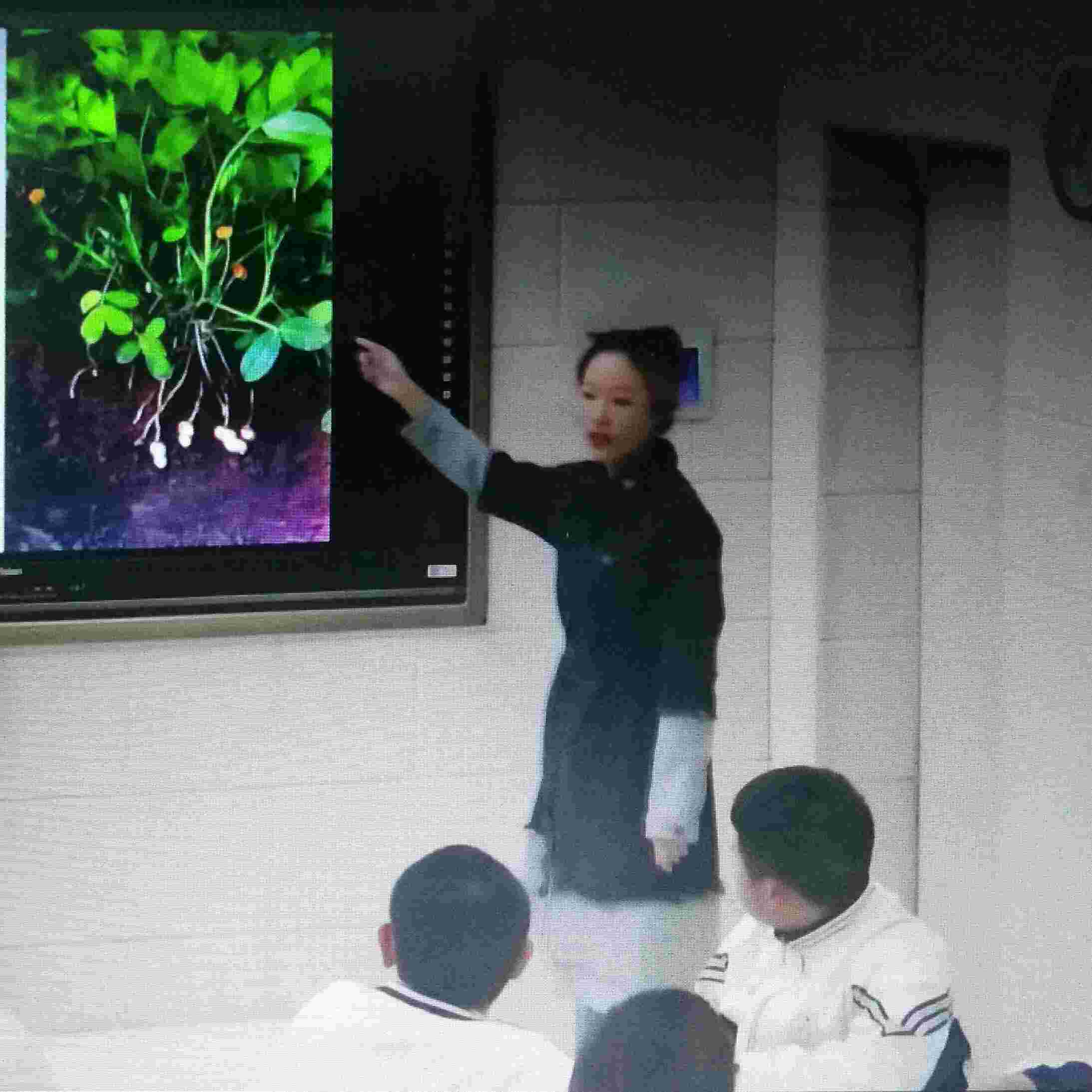 盛教员