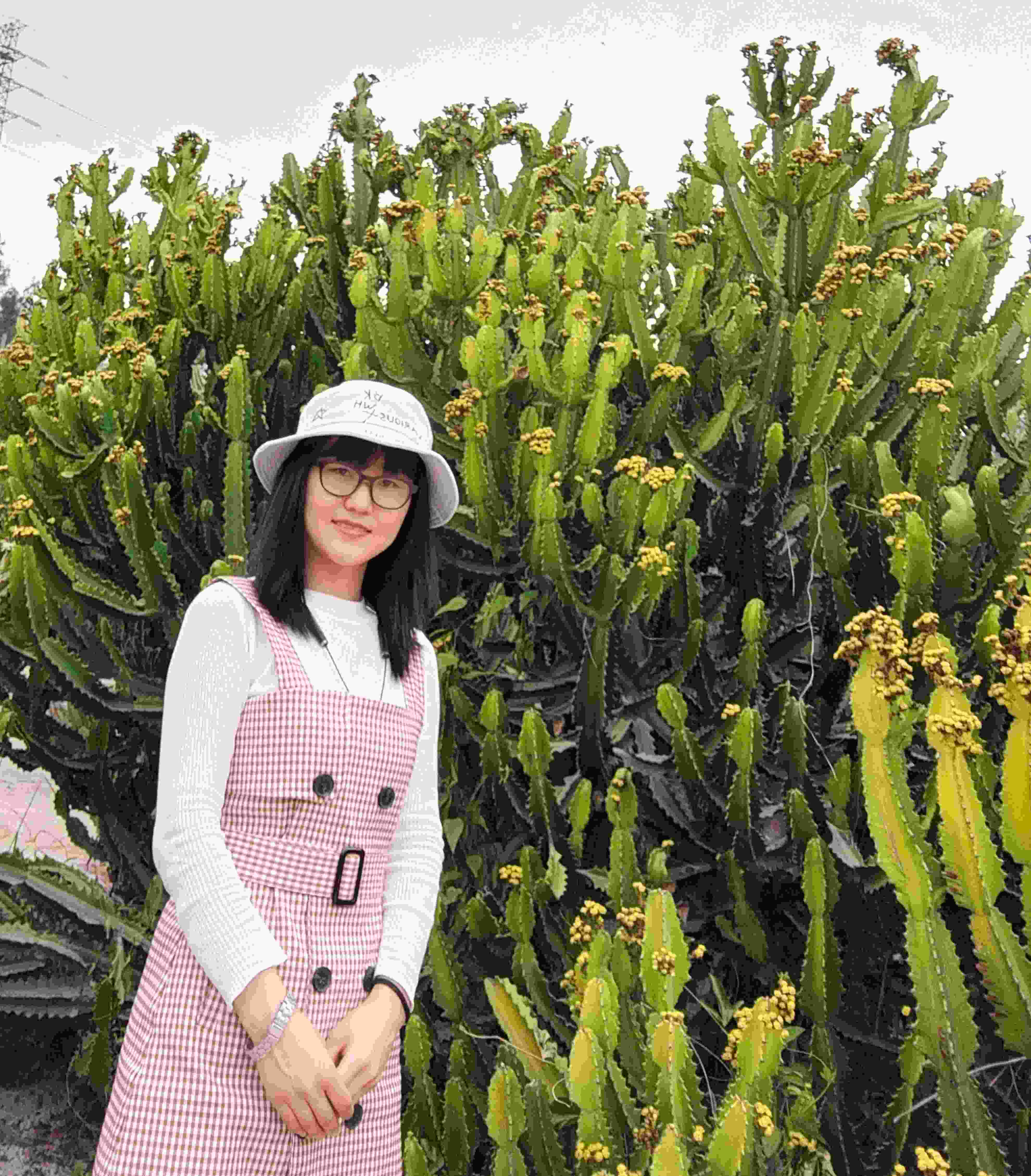 李教员