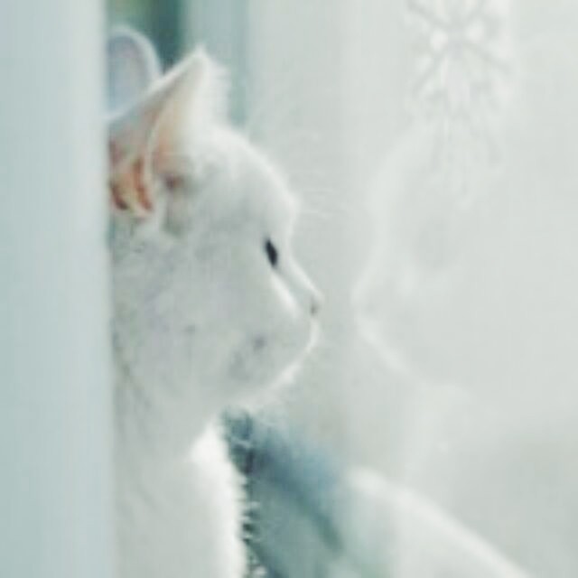 陈教员