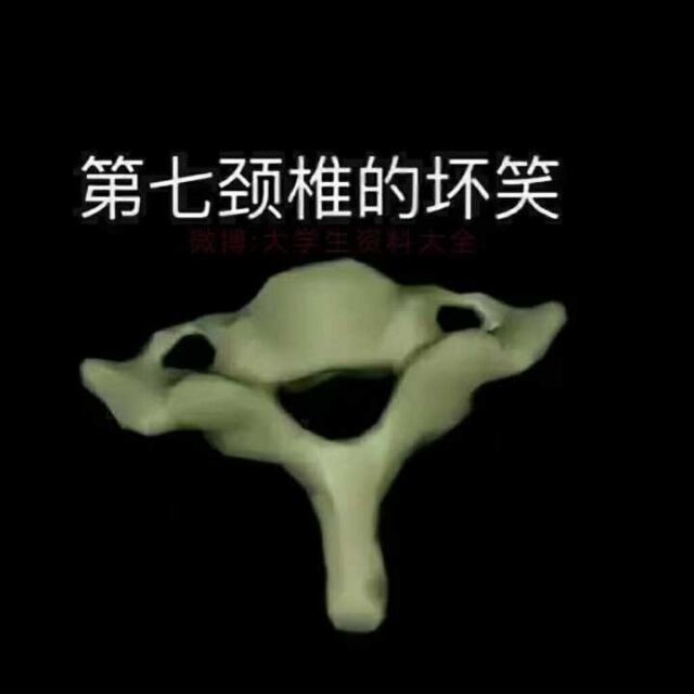 王教员