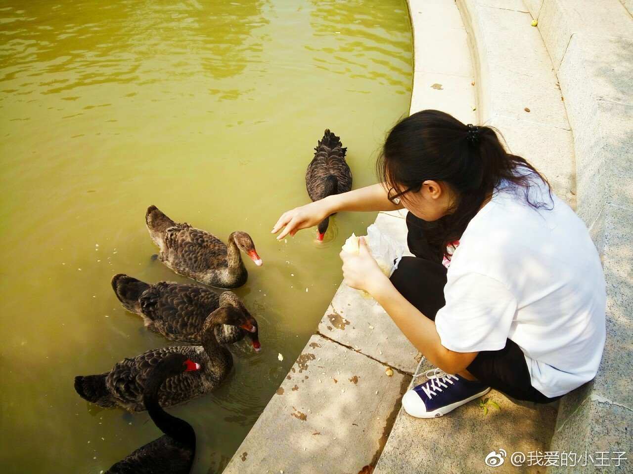 张教员