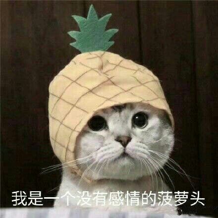 刘教员