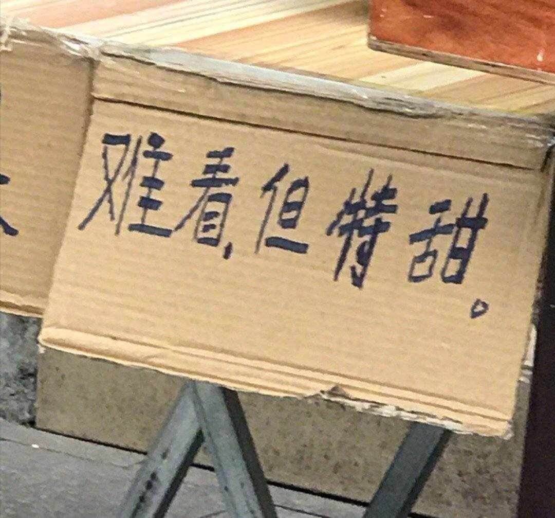 陈教员