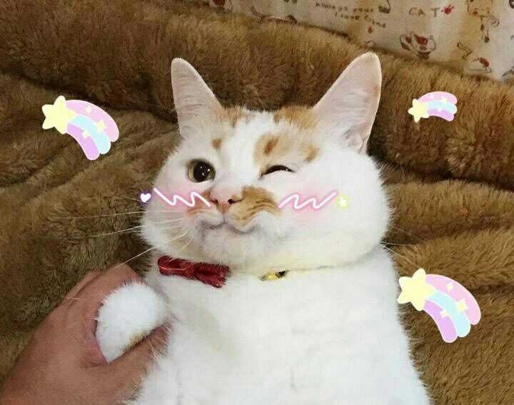 冯教员